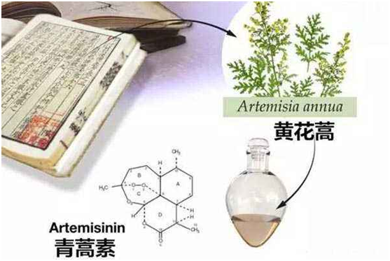 玩球,玩球（中国）：向中医药看齐，与世界共享中医药文化(图1)